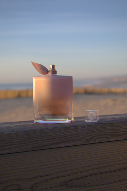 #NV021 - Blanc Vanille - 100ml