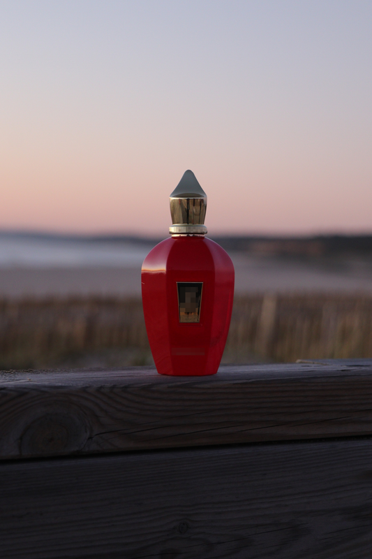 #NV007 - Crimson Elixir - 100ml